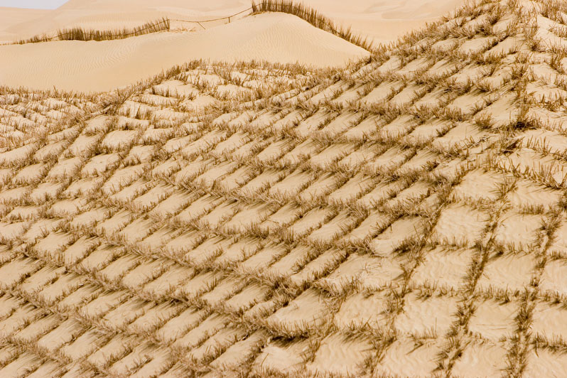 Desert Control, (121)